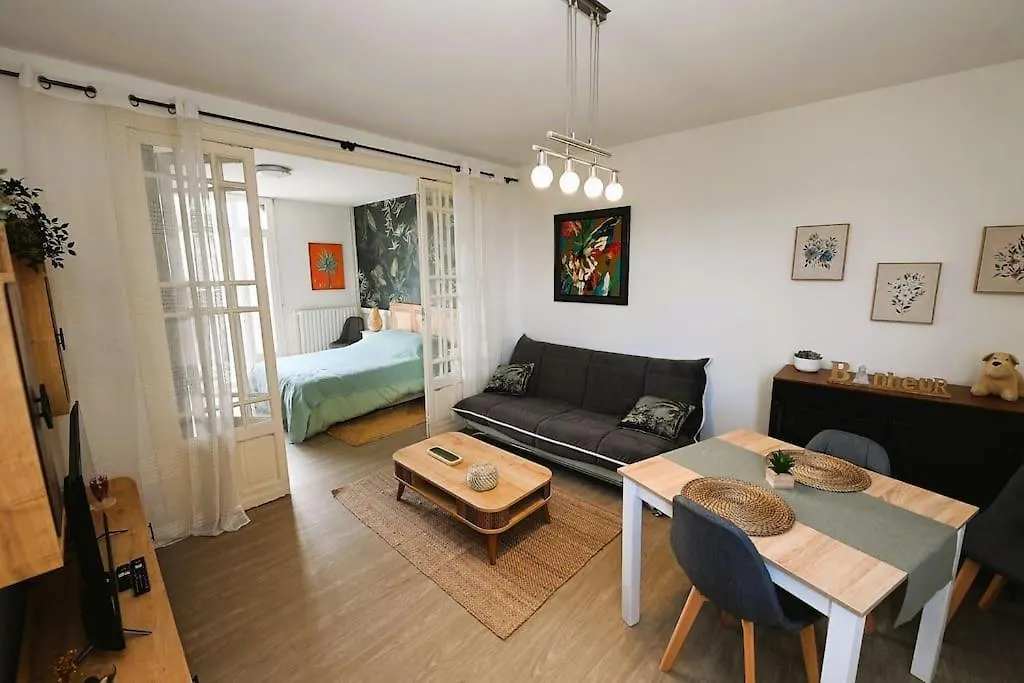 Apartment Appartement 2 A 4 Pers Cosy A Proximite Du Centre Et Des Thermes Bagneres-de-Bigorre